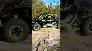 Just the Ride