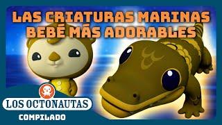 Los Octonautas -  Las criaturas marinas bebé más adorables  | Episodios Completos | Compilado