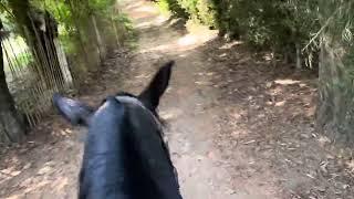 cabalgatas rancho de la llama. leyendas. “la colina de los 3 hermanos”