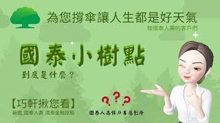 【國泰_林巧軒】國泰小樹點到底是什麼？|保險資訊|健康資訊|醫療資訊|傳遞價值 #保險觀念#保險價值#壽險_產險_團險