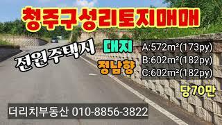 청주구성리토지매매