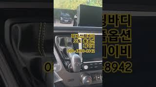 파비스 풀옵션윙바디