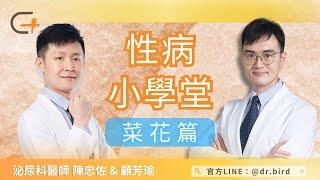 【鳥醫師性病小學堂-EP.3】菜花不治療會怎樣？「燒菜花」的手術過程是怎麼做？陳忠佐醫師解答最多人想知道的菜花問題 Genital warts treatment.