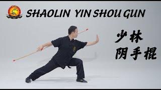 Kung Fu Dragon USA Online Tutorial: Shao Lin Yin Shou Gun — 少林阴手棍