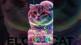 ElonXCat: Leading the Charge in Memetic Space 🪐 || ELONXMUSK & SPACEX MEME COIN ||