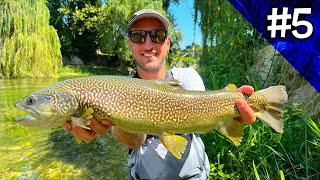 BIG Marble Trouts and Grayling in a Stunning Italian River! Ultralight Fishing with Flies