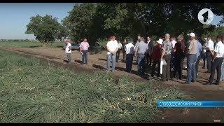Сельское хозяйство Приднестровья - перспектива развития есть