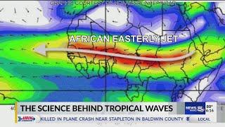 The science behind tropical waves