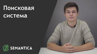 Поисковая система: что это такое и для чего она нужна | SEMANTICA