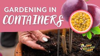 Growing Passion Fruit In Containers