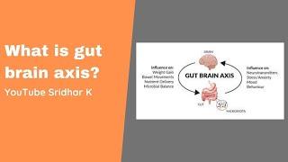 Gut brain axis. How do our gut bacteria influence our brain and our activity? #gutbrainaxis