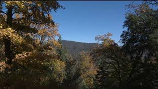 Lean times for the U.S. Forest Service| NBC 7 San Diego