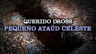 QUERIDO DROSS: Pequeño Ataúd Celeste