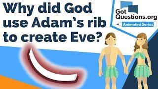 Why did God use Adam’s rib to create Eve?