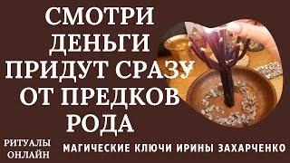 ЧИСТКА РОДОВОГО ДЕНЕЖНОГО КАНАЛА ПО 12 КОЛЕНО. ОТКРЫТИЕ ДОРОГ. ВОЗВРАТ ДОЛГОВ. ВОЗВРАЩАЕМ УДАЧУ