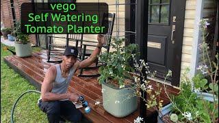 VEGO Rolling Self Watering Patio Planter with Trellis