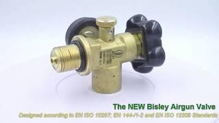 The Bisley Airgun Valve