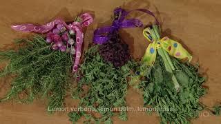 Herbal and Floral Swags |Trisha Shirey |Central Texas Gardener