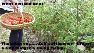 Thoughts on......Self-sufficiency - how I live richly on a tiny budget.