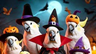 Creepy Halloween cockatoos