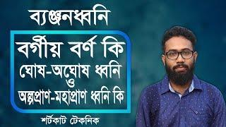 ব্যঞ্জনধ্বনি কি | বর্গীয় বর্ণ কি | ঘোষ অঘোষ ধ্বনি কি | অল্পপ্রাণ মহাপ্রাণ ধ্বনি কি