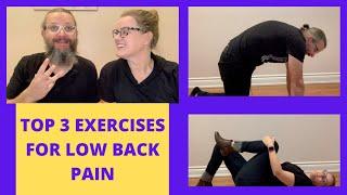 Top 3 Exercises for Low Back Pain |  Newmarket chiropractors