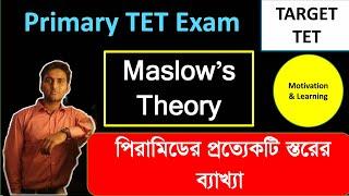 Maslow's Theory || Motivation and Learning || RGM EDUCATION CDP Class || TET, CTET, TRBT, ASSAM TET