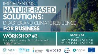 Financing and insuring NbS for disaster and climate resilience