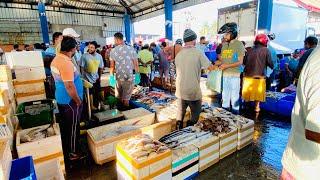 Srilanka’s Largest Fish Market | Great Fish Cutting Skills | Negombo Fish Market