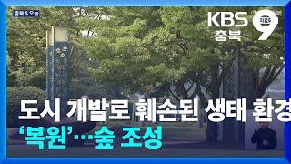 [충북&오늘] 도시 개발로 훼손된 생태 환경 ‘복원’…숲 조성 / KBS  2024.12.13.