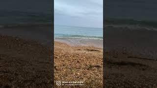 #chilling #beach #bmpcc4k #weymouth #shorts