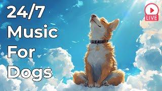  [LIVE] Relaxing Music for Dogs to Calm Down – 24/7 Stress Relief