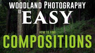 WOODLAND PHOTOGRAPHY IS EASY a simple guide to compositions