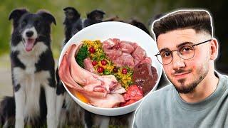 Best Raw Food Diet For Dogs | Undeniable Truths "Experts" Won't Tell You