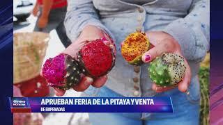 Aprueban la "Feria de la Pitaya" y la venta de empanadas