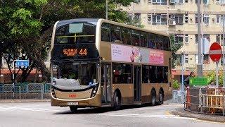 Hong Kong Buses 2017 - KMB in Kowloon and New Territories