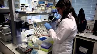 Estudia en la Universidad de Jaén