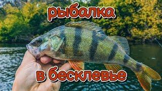 Ловлю щуку и окуня в бесклевье | Одна приманка снова спасла рыбалку | Со спиннингом на Дону