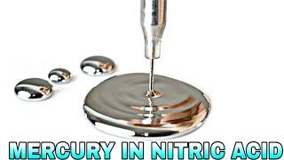 This Happens When You Add Mercury In Nitric Acid || Mercury In Nitric Acid ||  Awesome Experiment