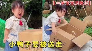 一岁宝宝养小鸭子哭惨了！太小了也不着急送人，孩子真的舍不得！【露兮粑粑】