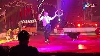 Circus Louis Knie