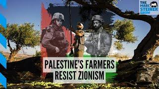 Palestinian olive farmers resist West Bank settlers w/Cyrus Copeland | The Marc Steiner Show