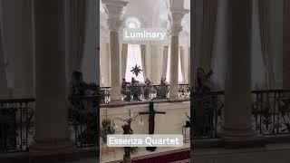 Luminary - String Quartet (cover by Essenza Quartet) #cover #joelsunny #stringquartet #luminary