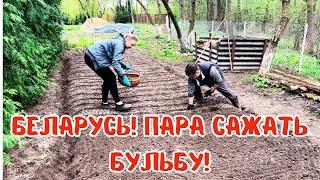 БЕЛОРУССКИЙ нетипичный хутор на  Майской отсеялся! Готовим шашлык по-советски с уксусом и луком.