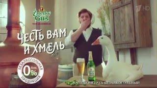 (2016) Zatecky Gus (пиво безалкогольное) - Честь вам и хмель