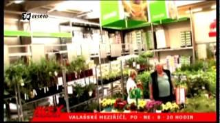 TV Beskyd : Reklama : Avex