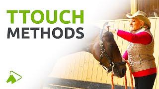 How to use the TTouch® Method | Applications for Horses and People | wehorse