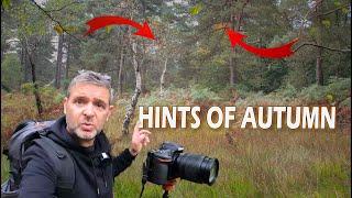 NOT LONG TIL AUTUMN | LANDSCAPE PHOTOGRAPHY | WOODLAND PHOTOGRAPHY