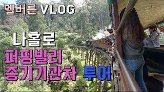 [호주 VLOG] 나홀로 단데농 퍼핑빌리 증기기관차 투어가기