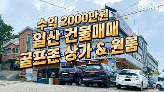 일산 601평 상가 & 원룸 건물 매매 ! 월세 1000만원 (골프존 입점,  직접 운영시 1700-2000만원 수익) [서울근교 일산 상가 급매]